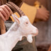 Natale 2025, S.Lucia di Piave
